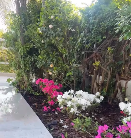 paisajismo y jardinería