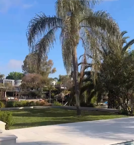 paisajismo y jardinería